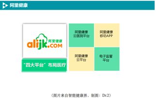 BAT如何布局移動醫療數據處理服務 戰略、技術與未來展望